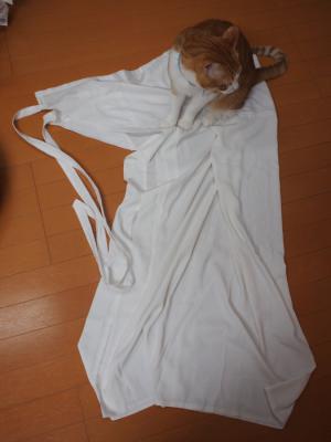 PB036971.jpg