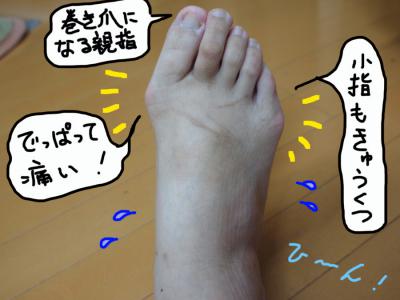 PB056988.jpg