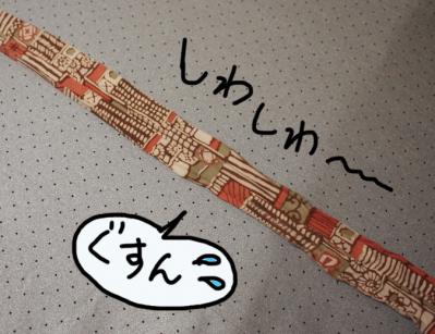 PB147041.jpg