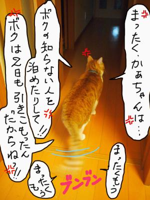 PB187093.jpg