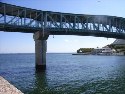 RIMG0439.jpg