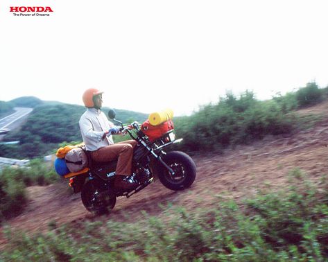 motra_1280_03.jpg