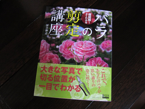 ベランダでバラのコンシェルジュを目指して バラの剪定 ３冊目の教科書 パワースポット