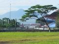169sentul.jpg