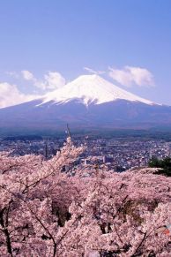 HUJISANN.jpg