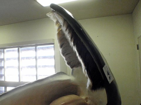 紀伊半島周回キャンプ