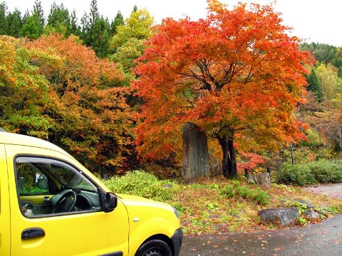 せせらぎ街道