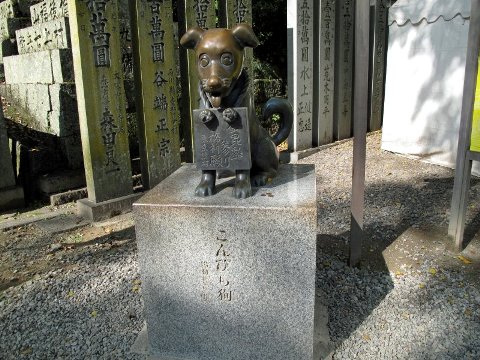 こんぴら