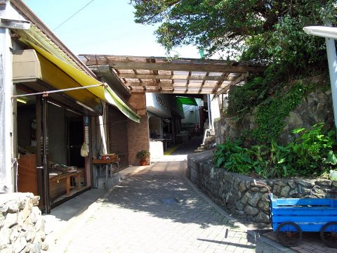 御座岬