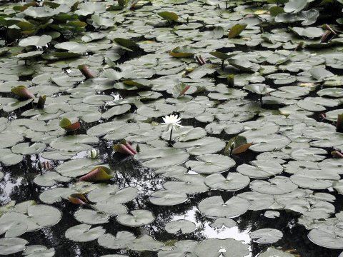 散策
