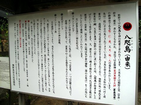 ドライブ
