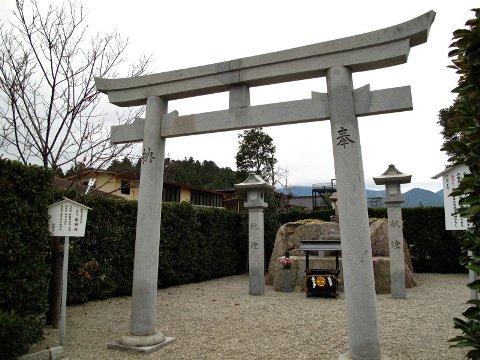 ドライブ