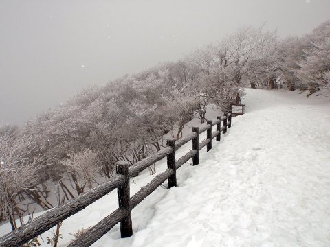 山