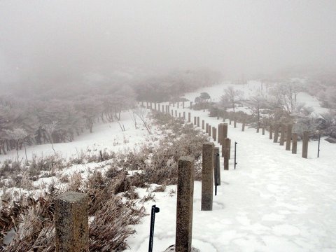 山
