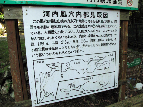 IMG_2764.jpg