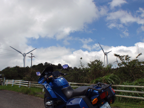P7082930.jpg