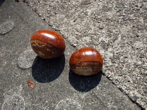 P9153151.jpg