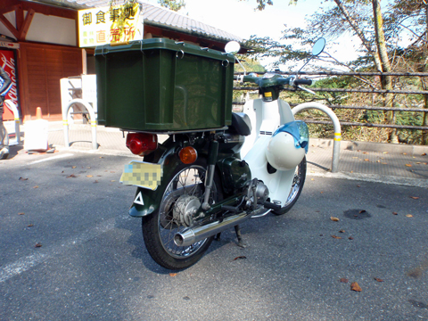 P9153153.jpg