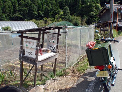 P9153157.jpg