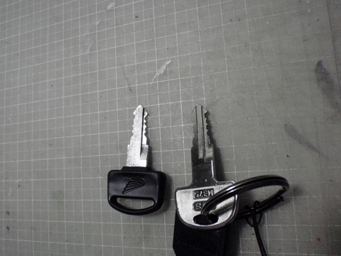 P9153166.jpg