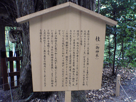 P9163177.jpg