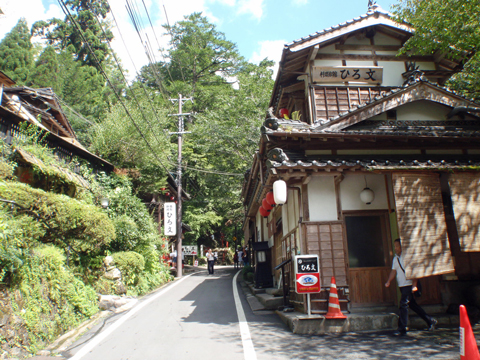 P9163186.jpg