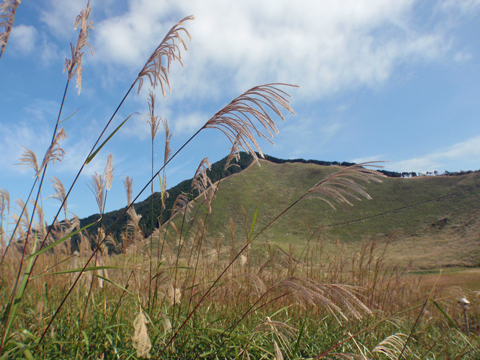 PA083306.jpg