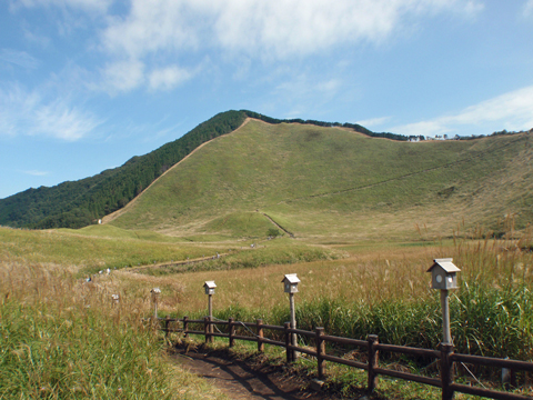 PA083307.jpg