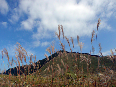 PA083309.jpg