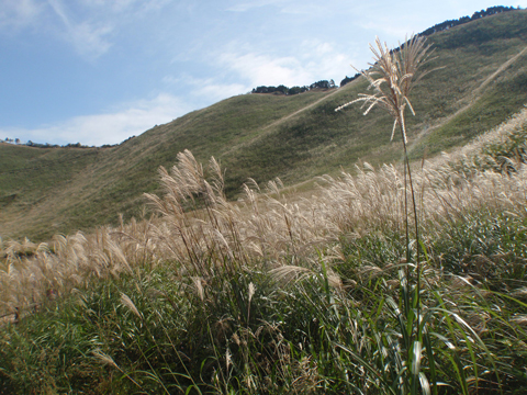 PA083311.jpg