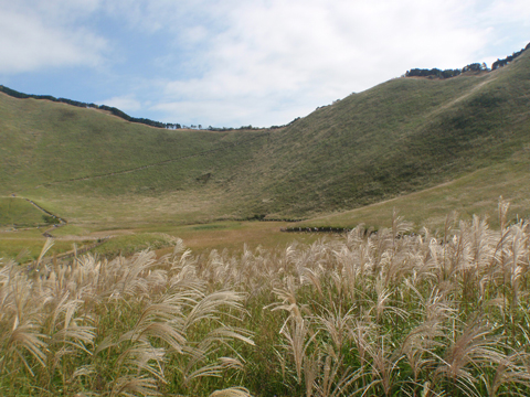 PA083317.jpg