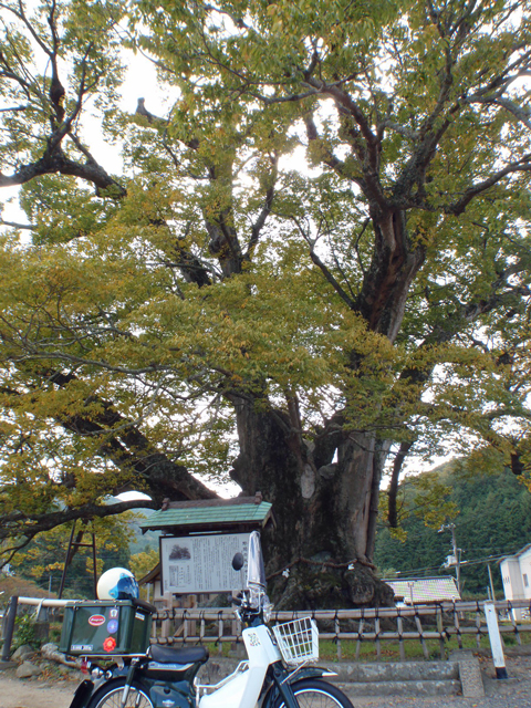 PB033418.jpg