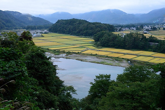 D60_7709.jpg