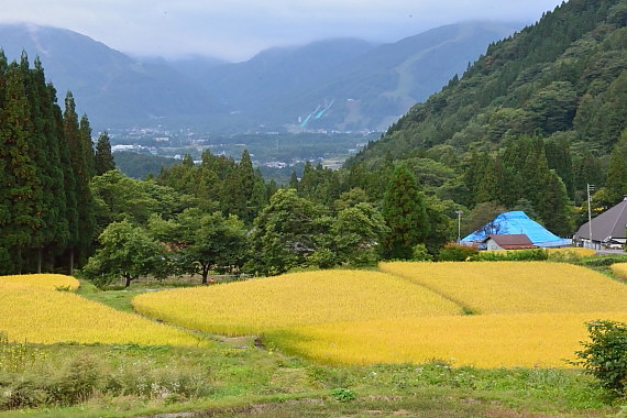 D60_7756.jpg