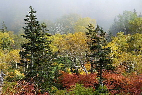 DSC_5374.jpg
