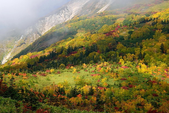 DSC_6477a.jpg