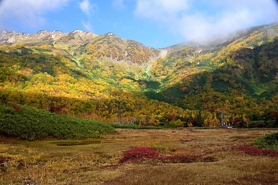 DSC_6478a.jpg