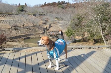20140128四街道総合公園25