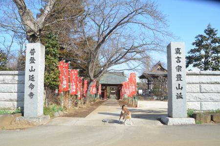 20140206しろい七福神①延命寺01