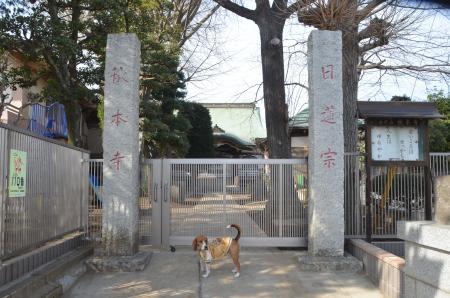 20140206しろい七福神⑥秋本寺01