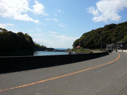 徳島途中の道