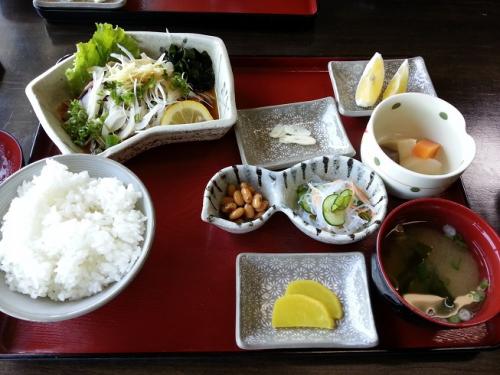かつおたたき定食実物