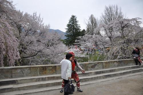 DSC_0014_convert_20120430090113.jpg