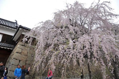 DSC_0015_convert_20120430090153.jpg