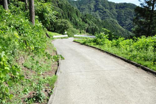 DSC_0022_convert_20120904225939.jpg