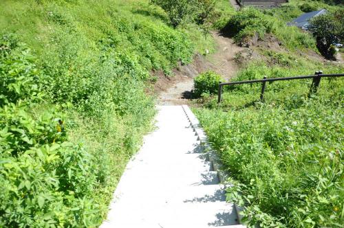 DSC_0025_convert_20120904230156.jpg