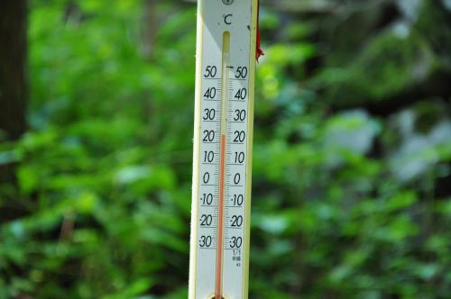 DSC_0028_convert_20120906214756.jpg