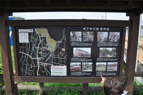 DSC_0043_convert_20120918125621.jpg
