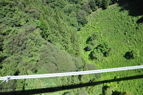 DSC_0054_convert_20120907192117.jpg