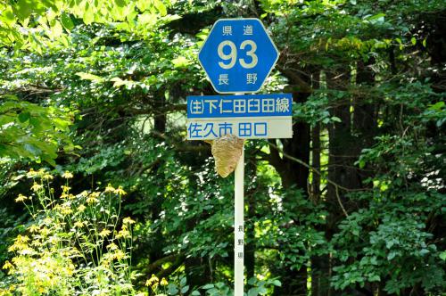 DSC_0058_convert_20120828203158.jpg